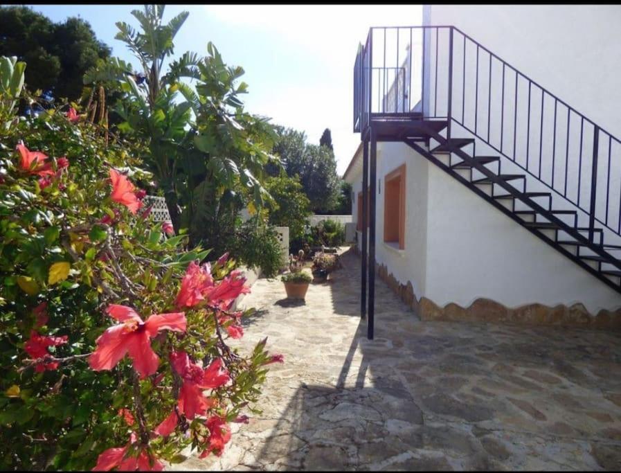 Villa Lumen Calpe Exteriör bild